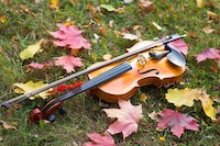 Violin in leaves